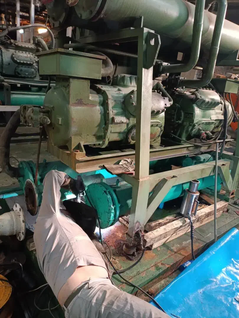 نیاز به همکاری|خدمات پیشه و مهارت|محمدشهر, همایون ویلا|دیوار