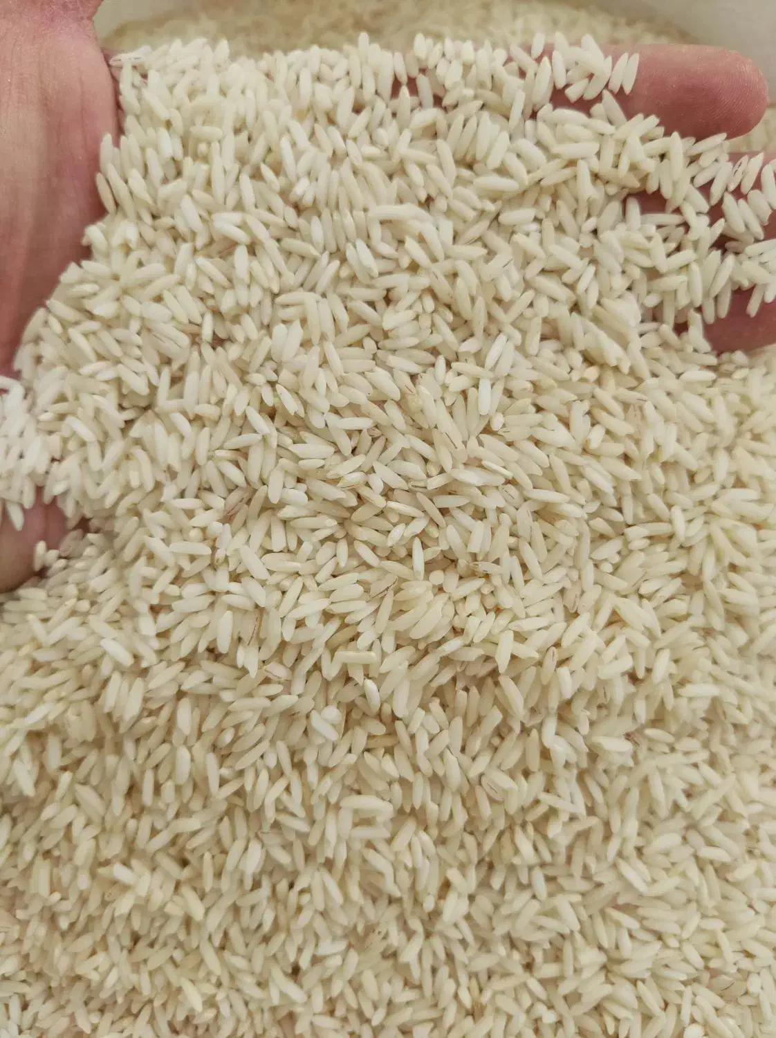 برنج علی کاظمی (ارسال درب منزل)|خوردنی و آشامیدنی|بروجرد, |دیوار