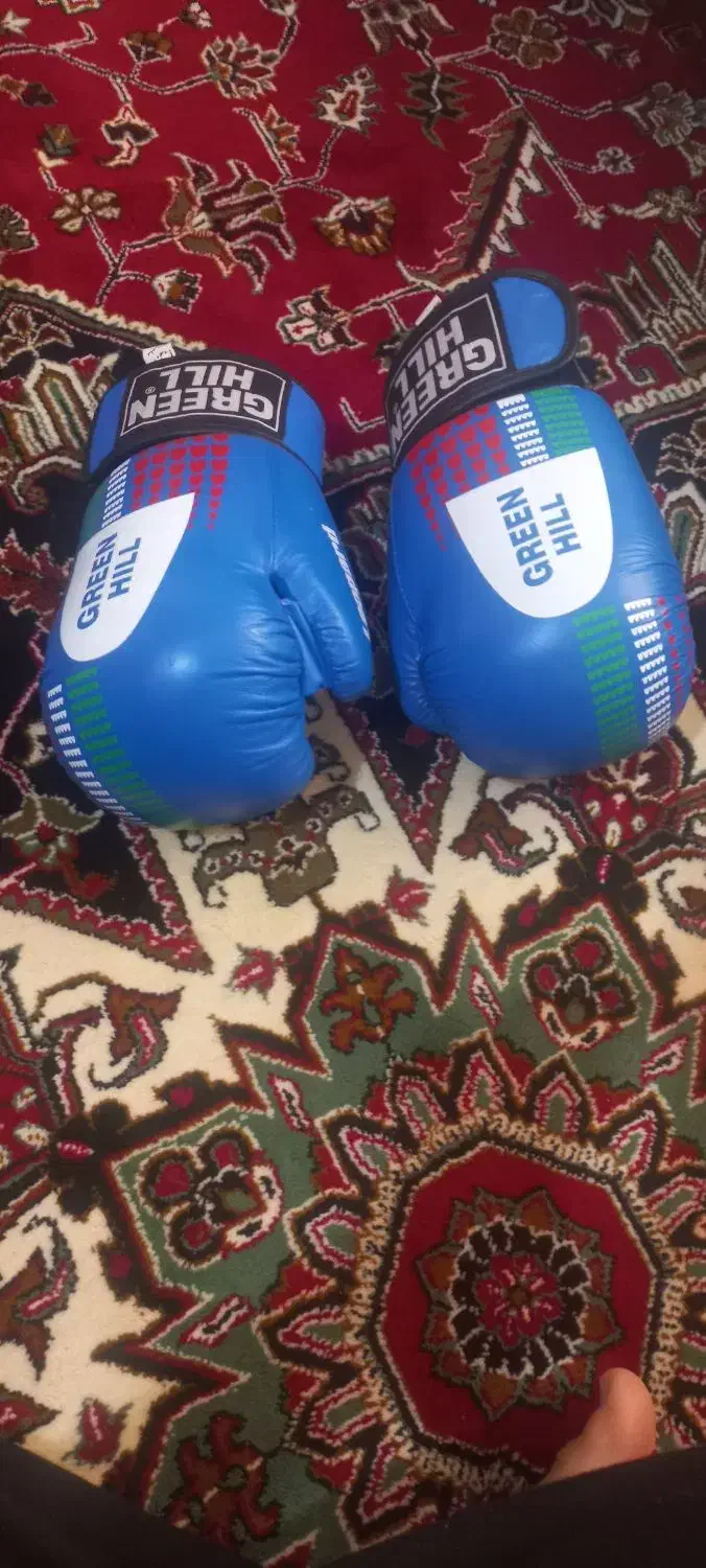 دستکش بوکس و کیک بوکس|تجهیزات ورزشی|شبستر, |دیوار