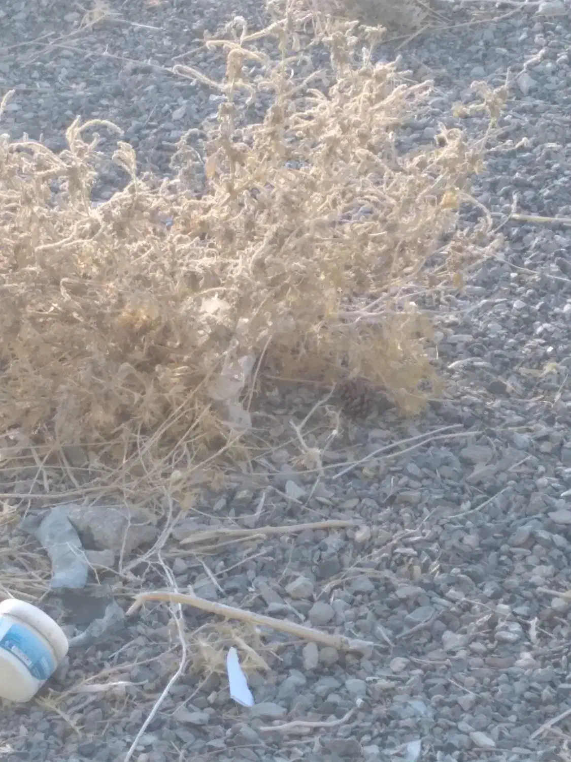 زمین تجاری  گراب مغازه۱۵در۵|فروش زمین و ملک کلنگی|دیشموک, |دیوار