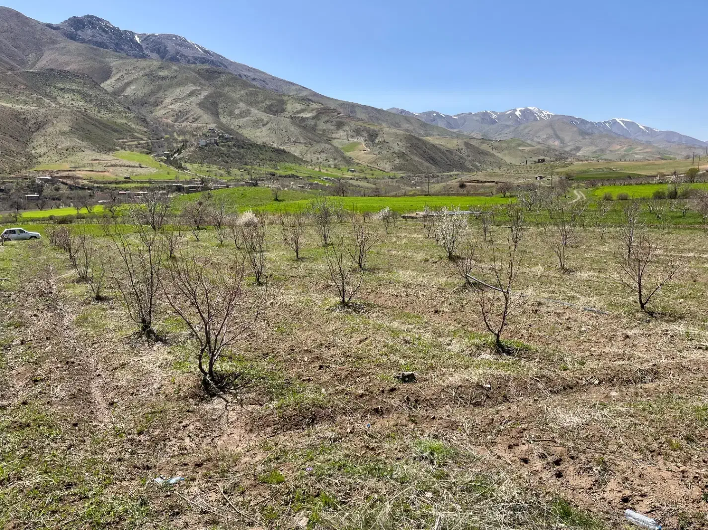 باغ|فروش زمین و ملک کلنگی|دینور, |دیوار