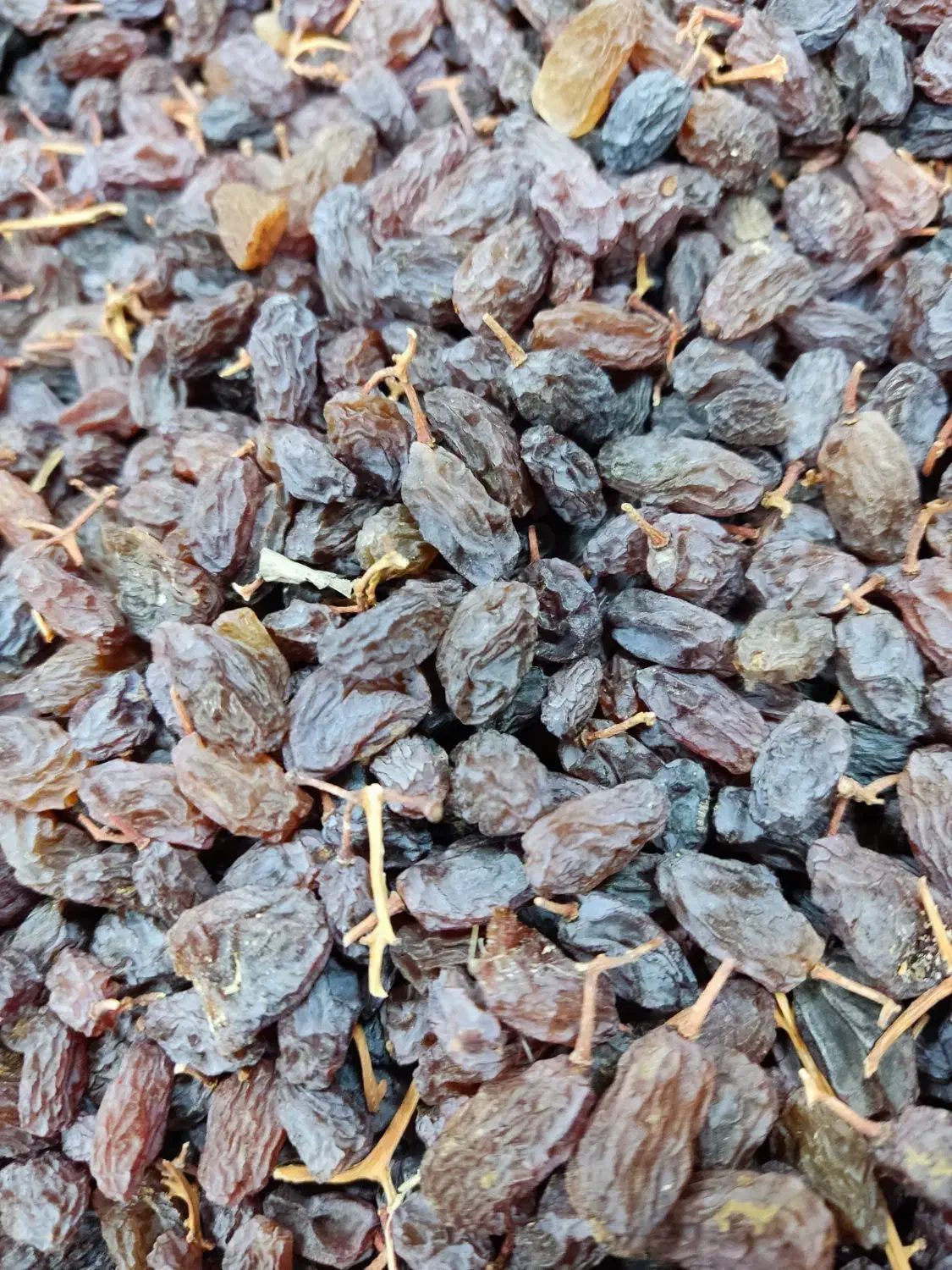 کشمش آفتابی درشت درشت|عمدهفروشی|ابهر, |دیوار