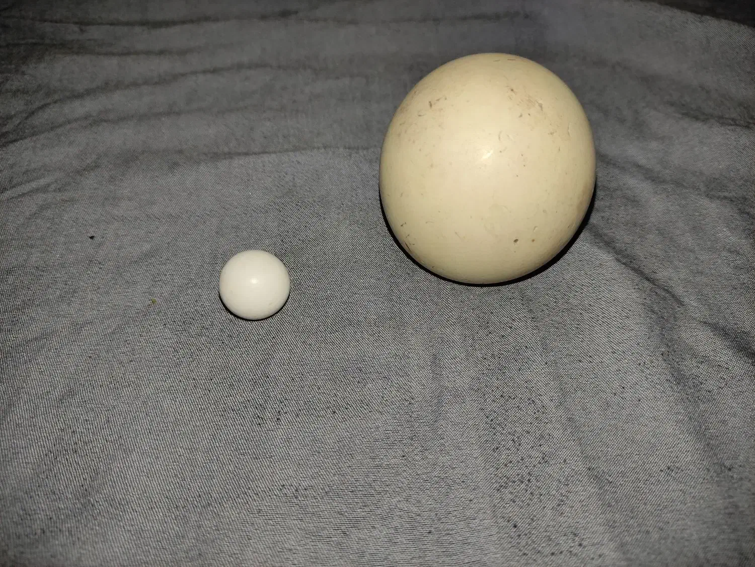 الماس اسیاب|جواهرات|گرگان, |دیوار