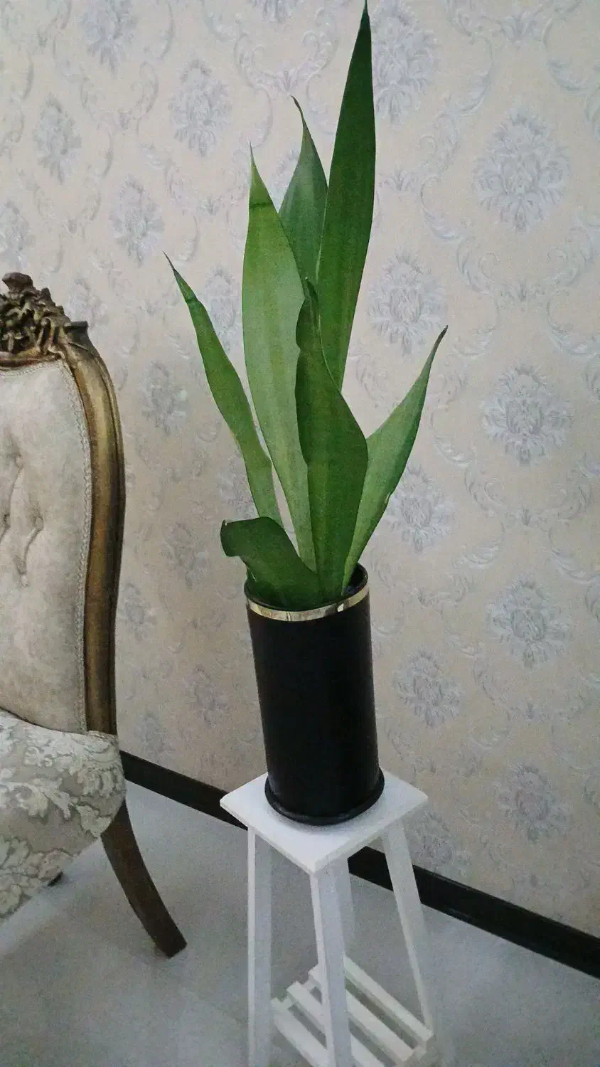 گل با گلدان|گل مصنوعی|کرج, شهرک بیدارچشمه|دیوار