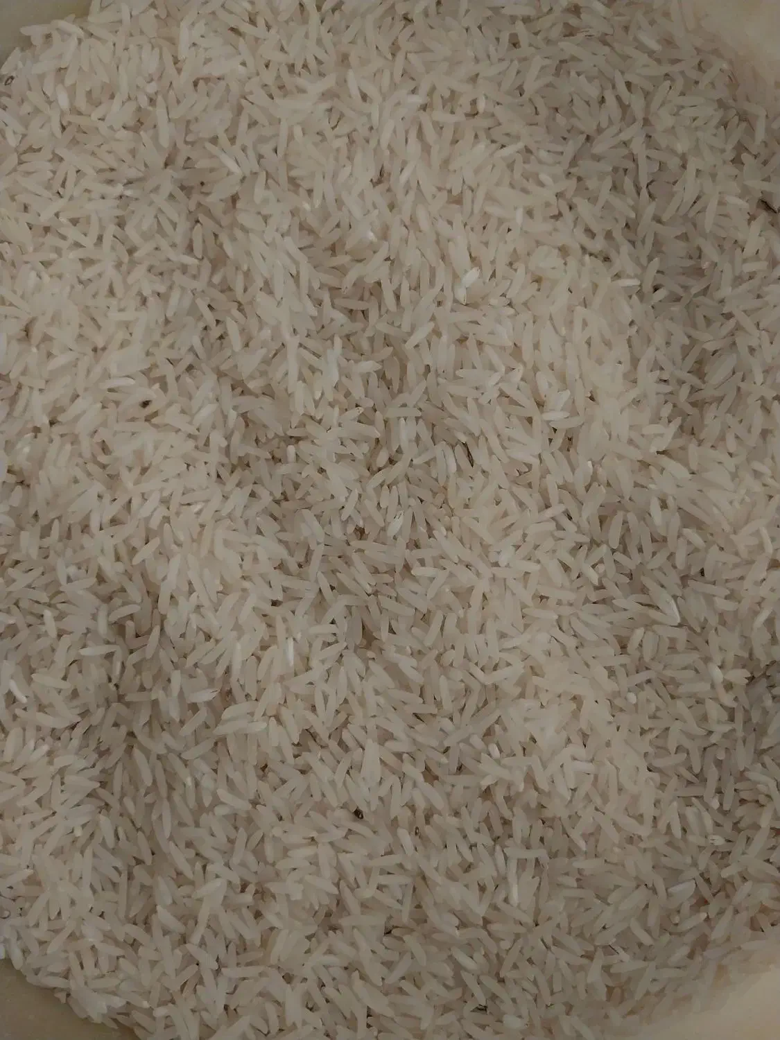 برنجفجر امسال بدون شکستگی ۲۵ کیلو|خوردنی و آشامیدنی|کردکوی, |دیوار