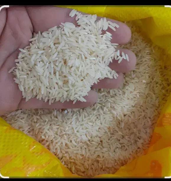 برنج دودی ایرانی|خوردنی و آشامیدنی|هشتگرد, شهرک وحدت|دیوار