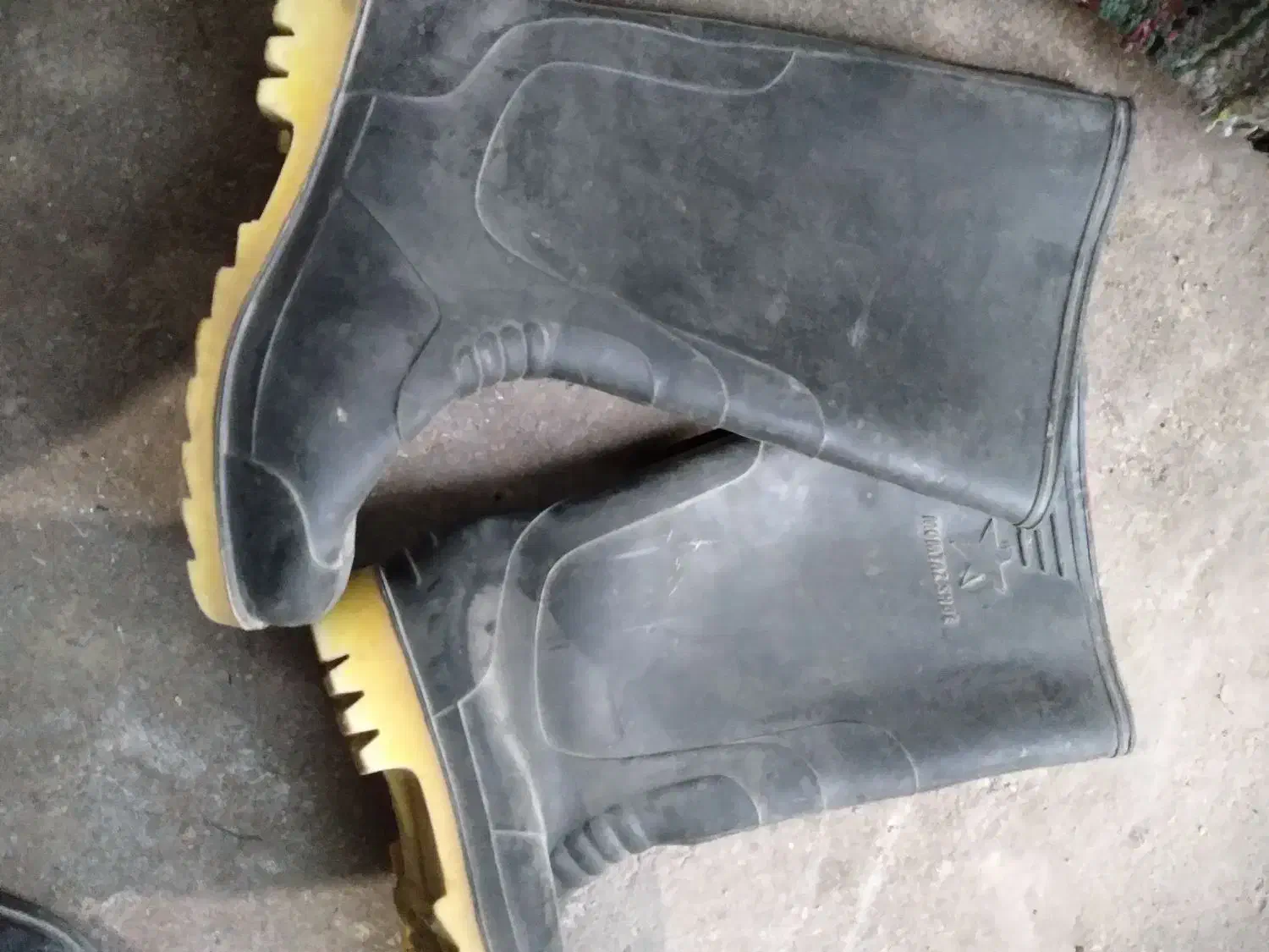 کفش|کیف، کفش، کمربند|ایذه, |دیوار