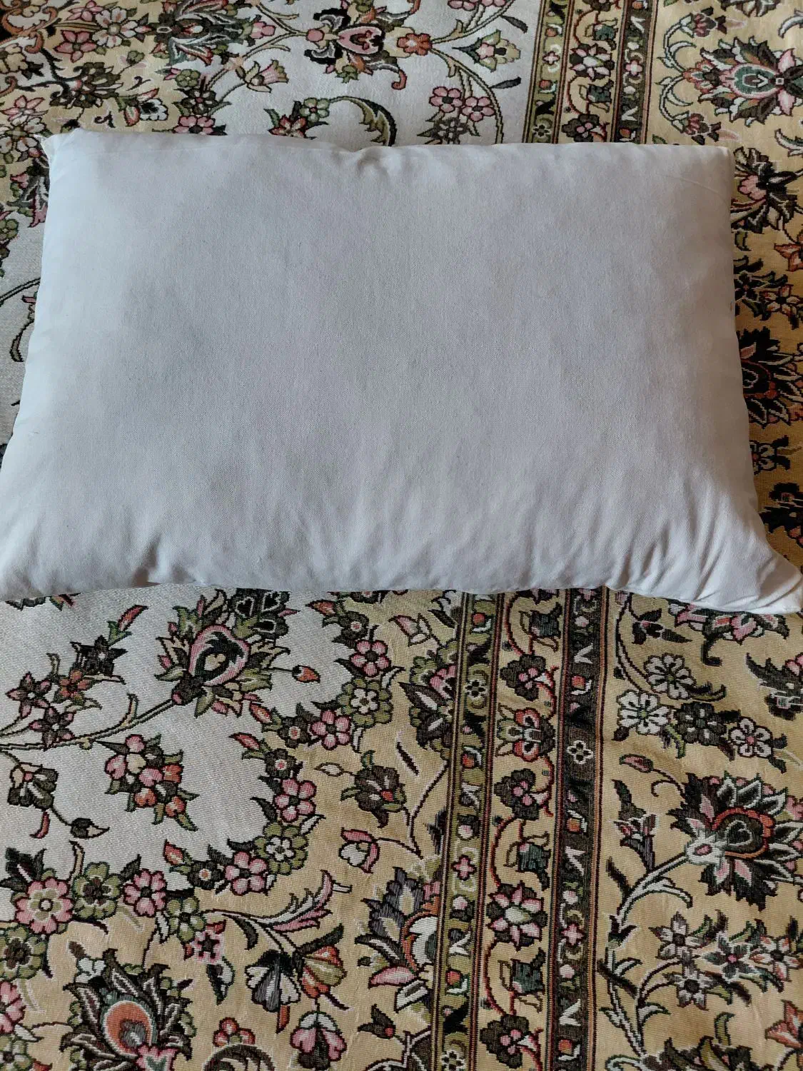 بالشت پرمخلوط شده باپشم شیشه|رختخواب، بالش، پتو|تبریز, |دیوار