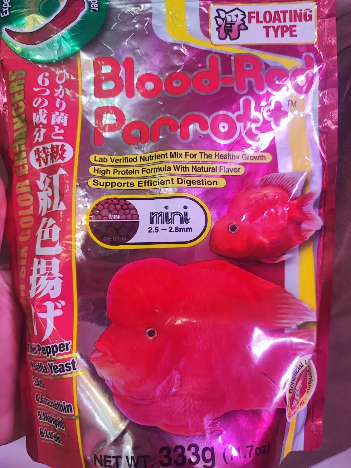 هیکاری،آکواریوم،فلاور|ماهی|تهران, جردن|دیوار