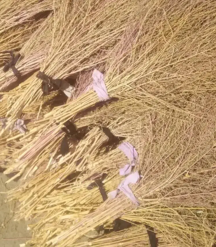 جارو شور|لوازم نظافت|کوهدشت, |دیوار