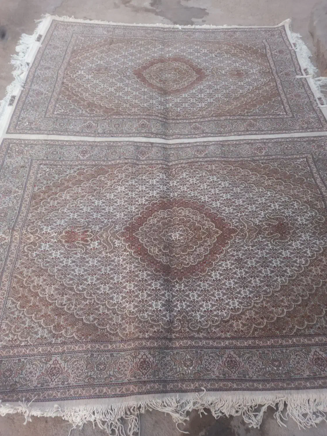 کرم قهوه‌ای تک ۶متری میشه جفت قالیچه هس|فرش|میانه, |دیوار