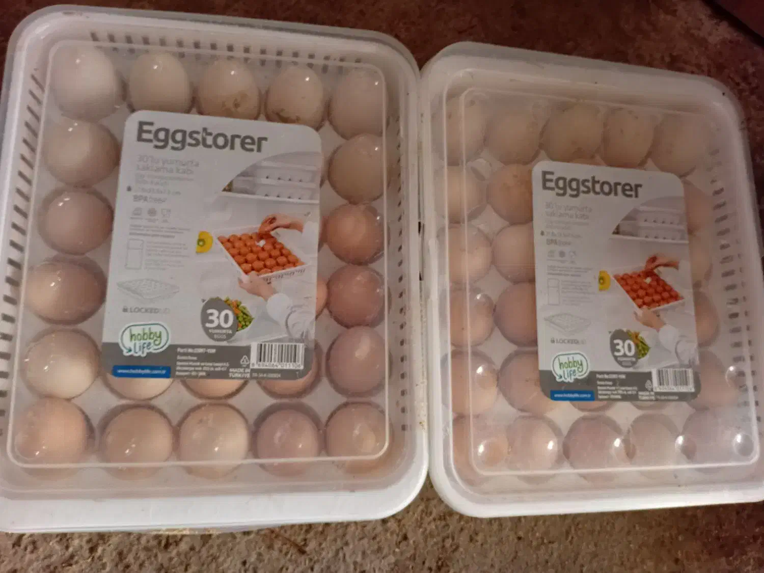 تخم مرغ محلی و اردکی نطفه دار|خوردنی و آشامیدنی|لنگرود, |دیوار