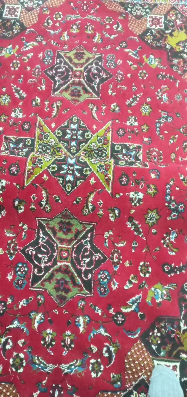 فروشی|فرش|لوندویل, |دیوار