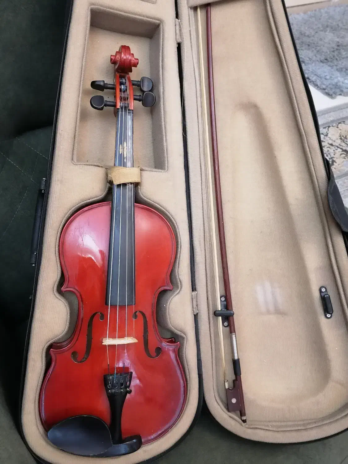 ویولن|ویولن|گنبد کاووس, |دیوار