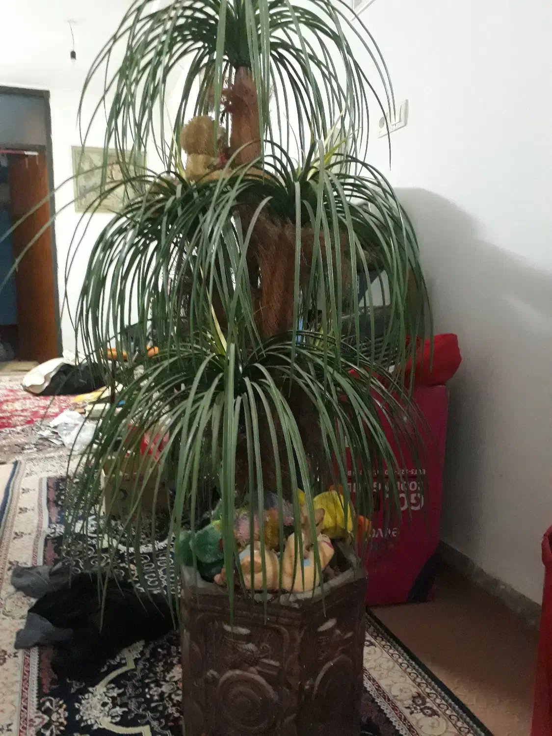 درخت نخل مصنوعی|گل مصنوعی|اهواز, زندوکیلی|دیوار