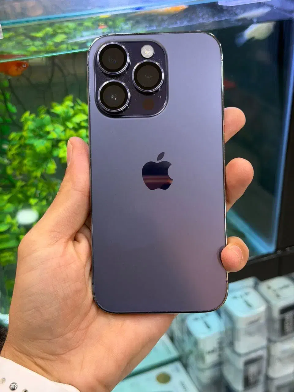 iphone 14pro|موبایل|شیراز, زند|دیوار