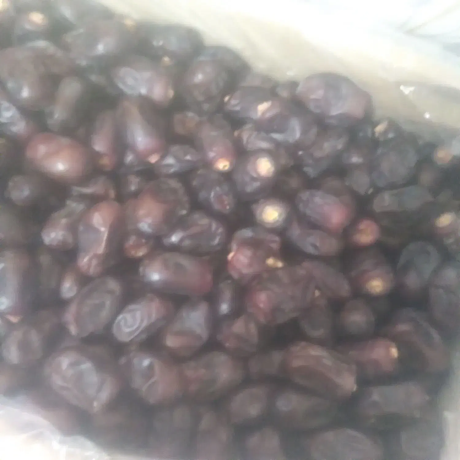 خرما|خوردنی و آشامیدنی|جیرفت, |دیوار