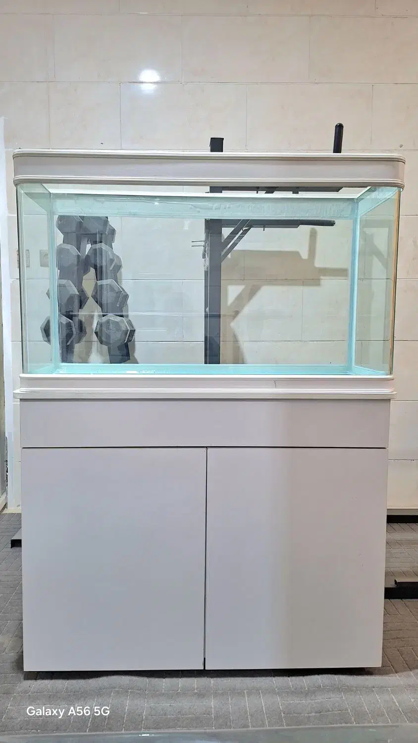 آکواریوم|ماهی|مشهد, نوده|دیوار