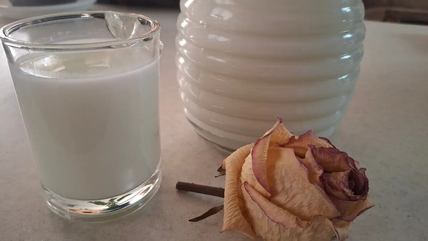 قارچ و دوغ کفیر اصل قفقاز|خوردنی و آشامیدنی|تهران, حکیمیه|دیوار