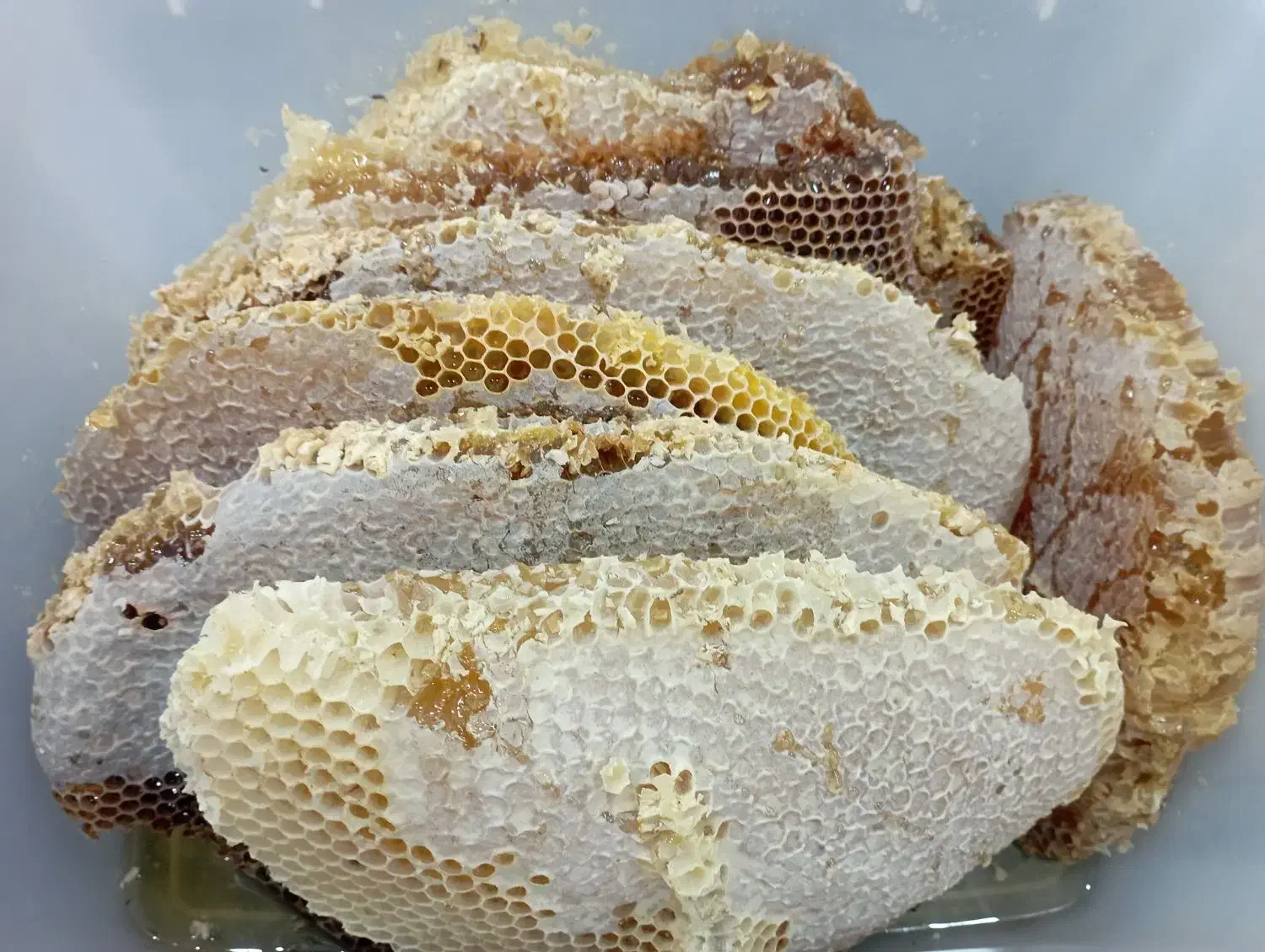 عسل طبیعی کوهستانهای چل چمه|عمده‌فروشی|مریوان, |دیوار