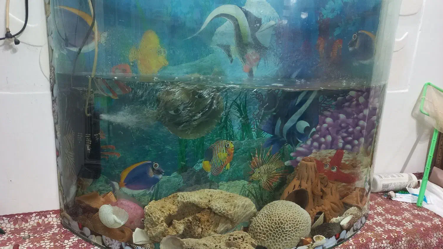 آکواریوم شیشه خم|ماهی|خرمآباد, |دیوار