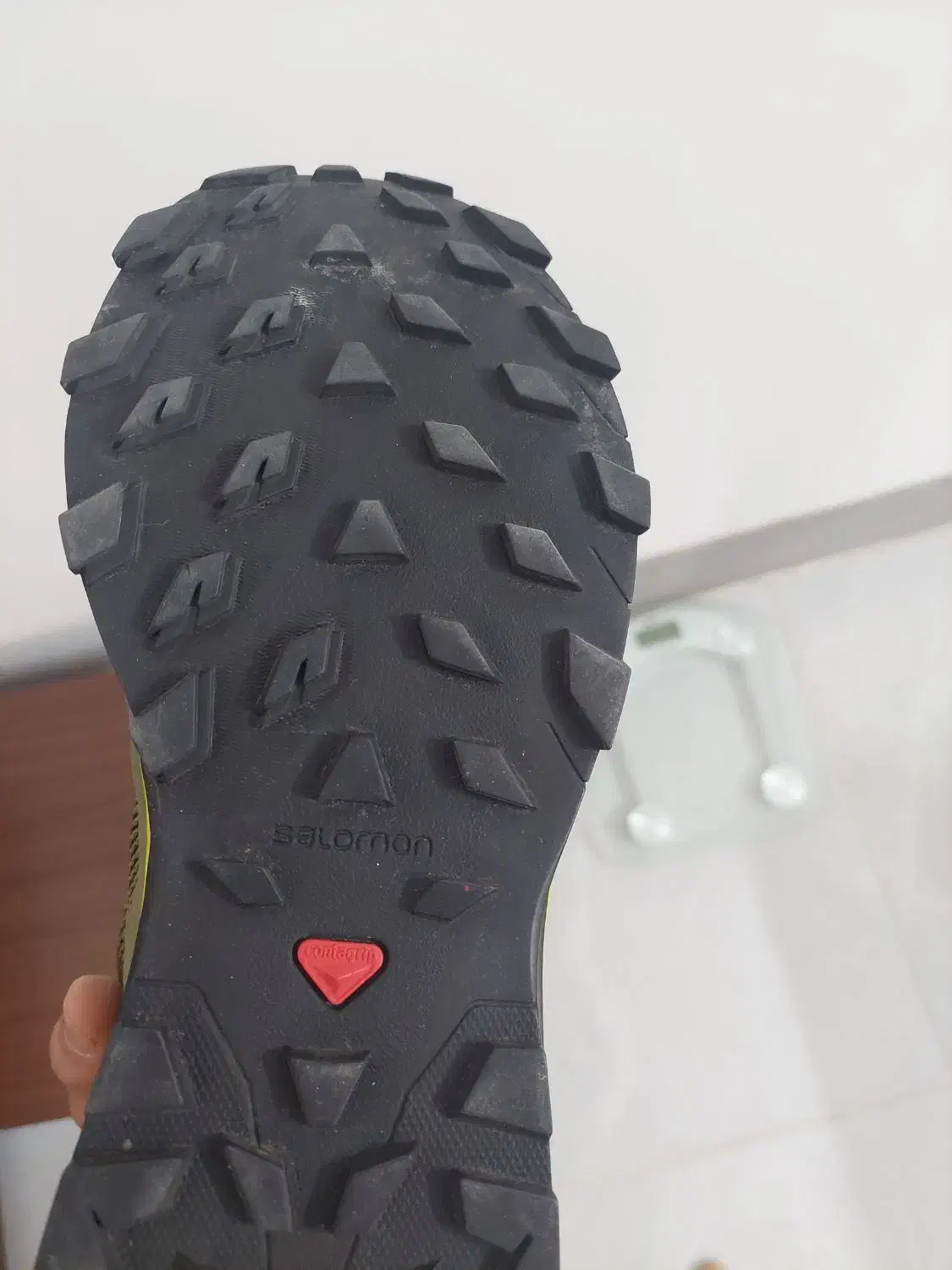 سالمون اصلی|کیف، کفش، کمربند|فسا, |دیوار