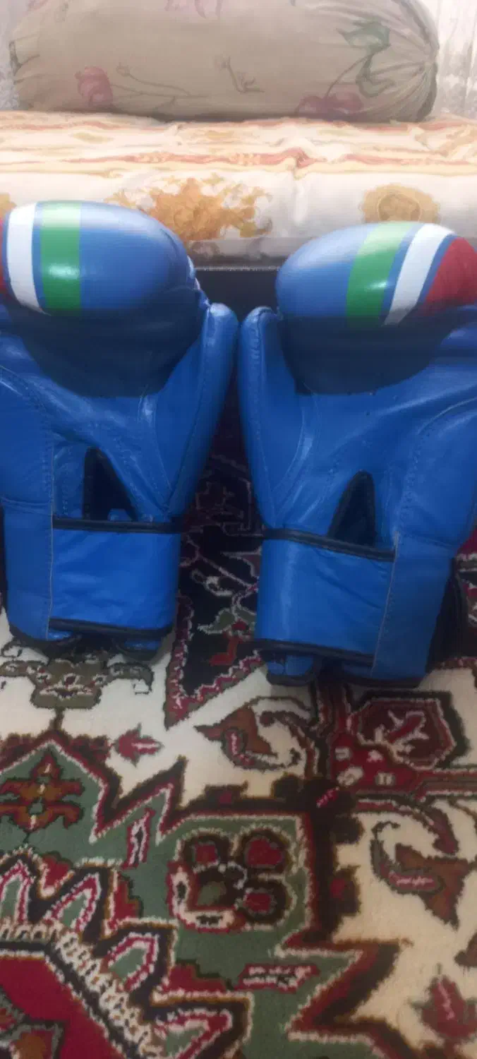 دستکش بوکس و کیک بوکس|تجهیزات ورزشی|شبستر, |دیوار