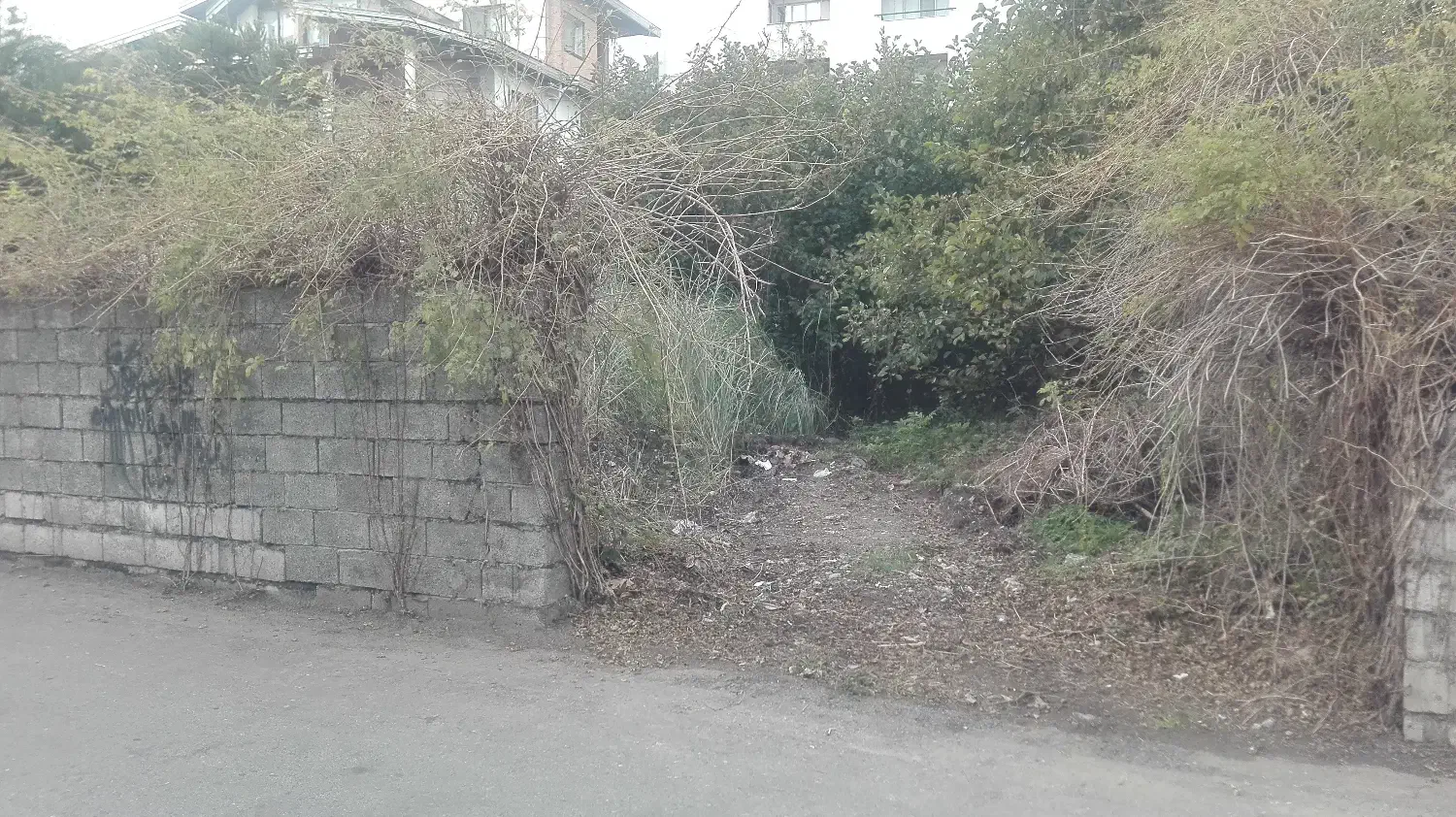 مشارکت در ساخت زمین 200 متر در گلستانهای امیرآباد|مشارکت در ساخت املاک|ایزدشهر, |دیوار