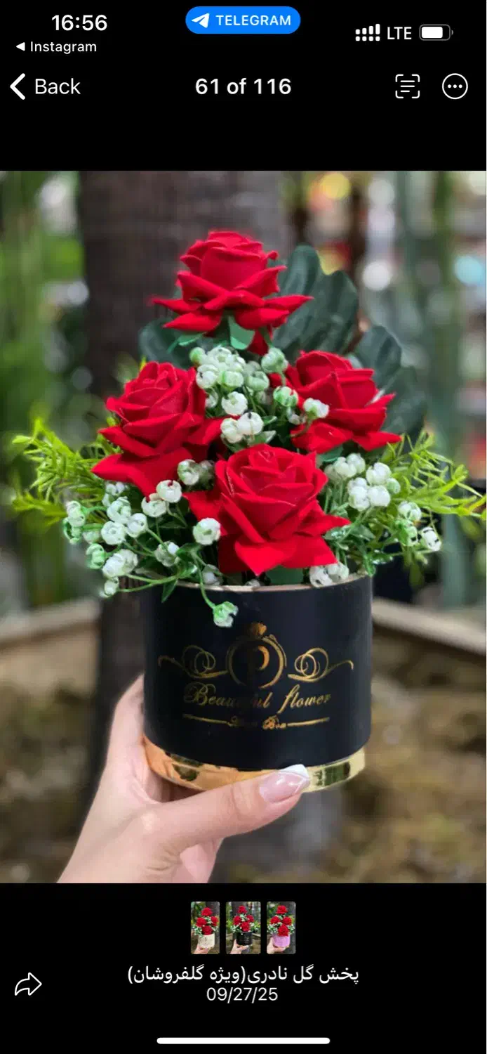 اونایی ک روز مادر گل نخریدین|گل و گیاه طبیعی|سبزوار, عظیمیان|دیوار