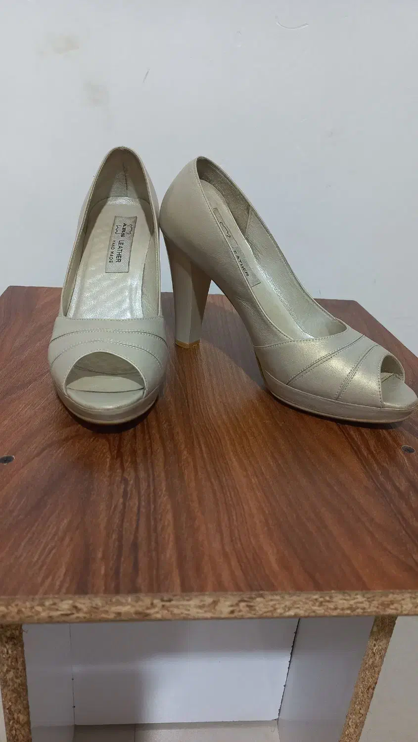 کفش مجلسی|کیف، کفش، کمربند|رشت, جانبازان|دیوار