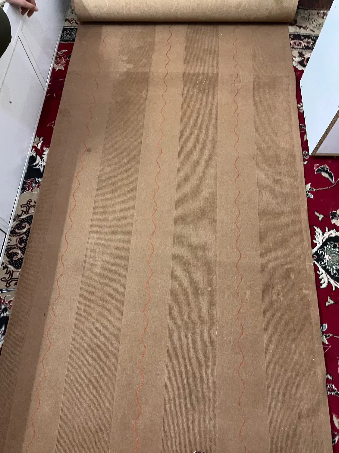 موکت|موکت|اردکان, |دیوار