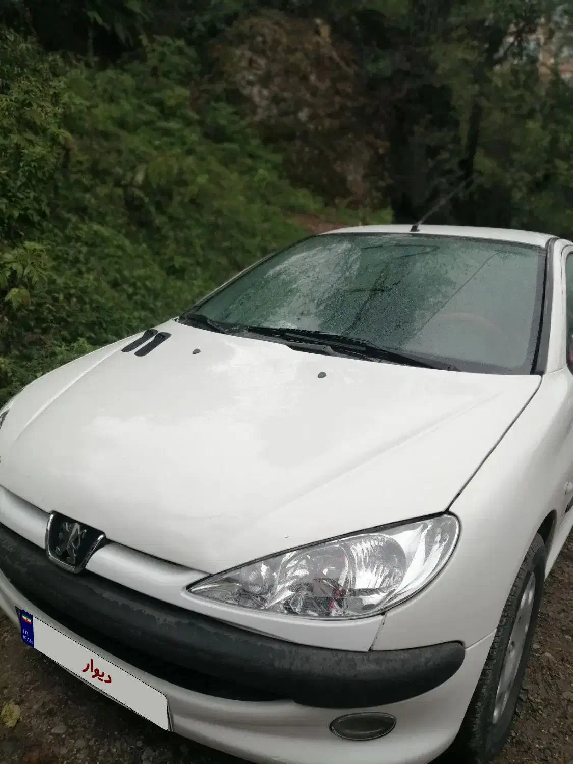 206  sd  v8 مدل 94|خودرو سواری و وانت|اراک, |دیوار