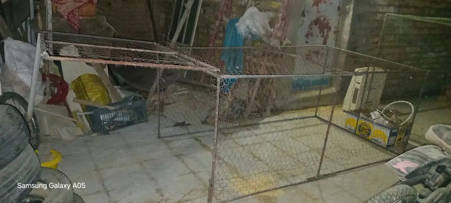 قفسکبوتر|لوازم جانبی حیوانات|کاخک, |دیوار