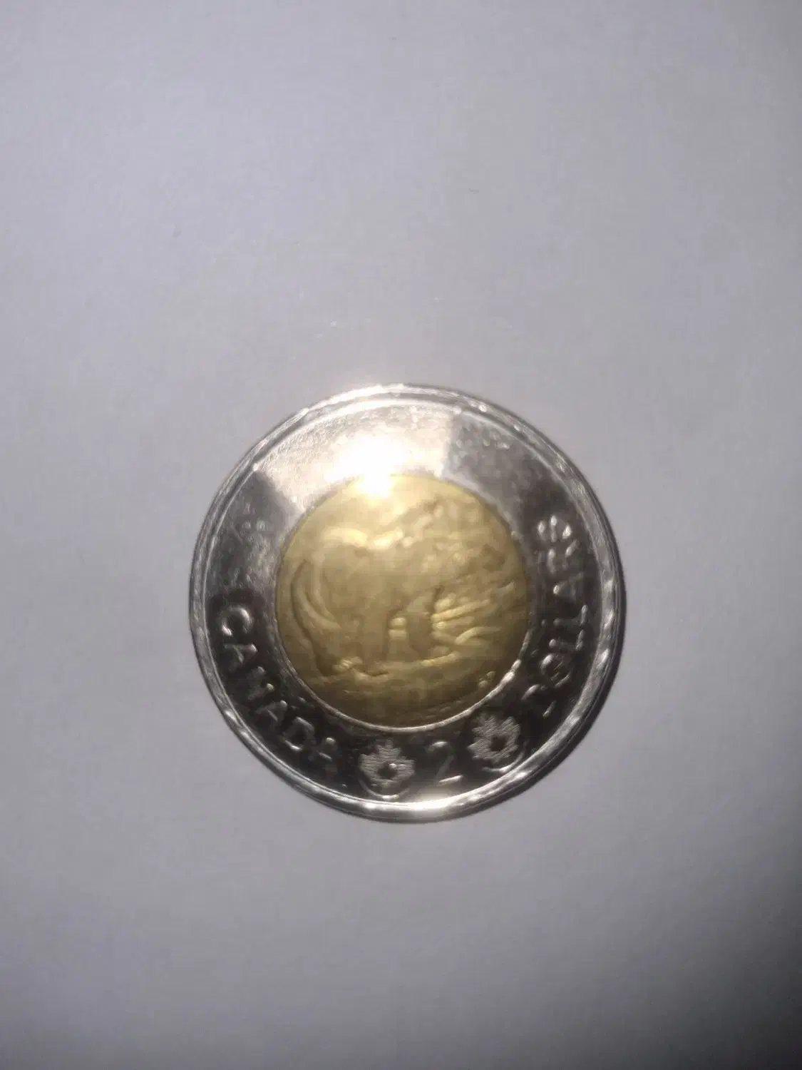 سکه ۲ دلاری کانادا - ۲۰۱۴ - نقش خرس گریزلی|کلکسیون سکه، تمبر، اسکناس|تهران, هفت حوض|دیوار