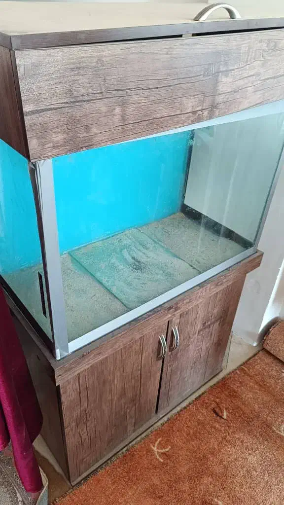 آکواریوم فروشی قیمت مقطوع|ماهی|محمدشهر, یزدیها|دیوار