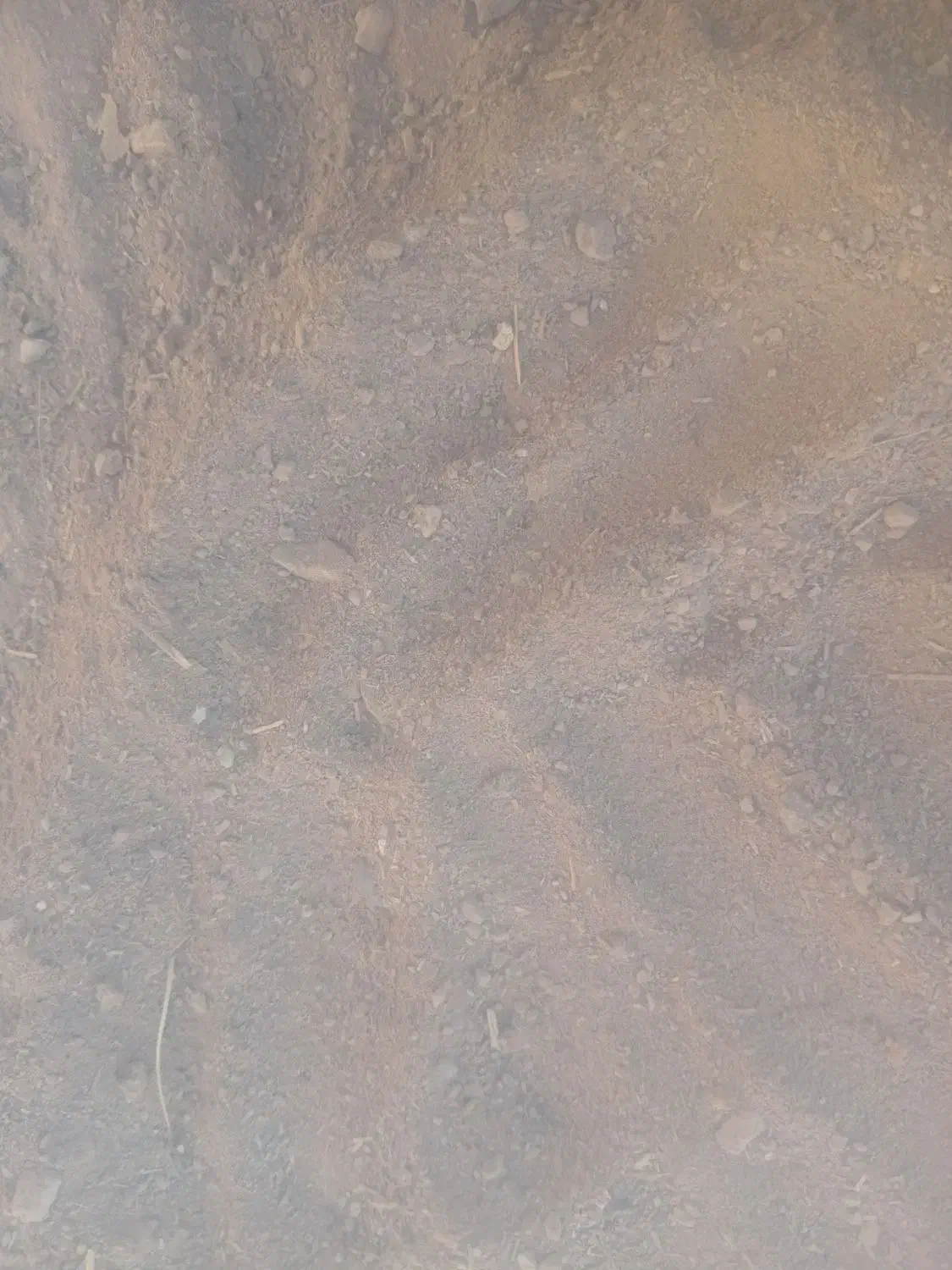 کودحیوانی خاک رس باغچه|گل و گیاه طبیعی|پاکدشت, پاکدشت (مامازند)|دیوار