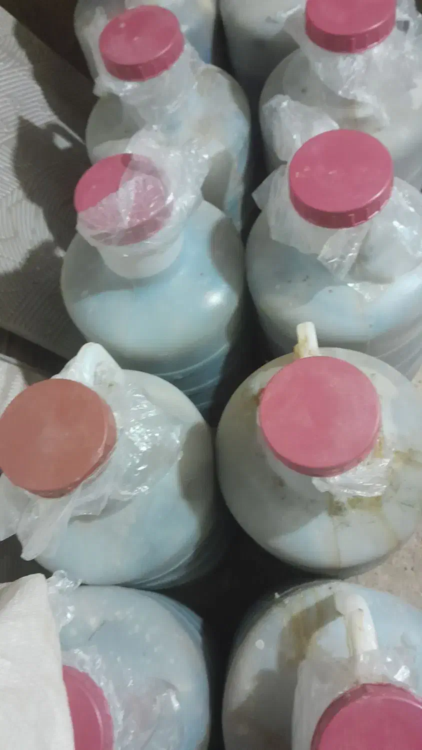 خیار شور همدان|خوردنی و آشامیدنی|قم, شهر قائم|دیوار