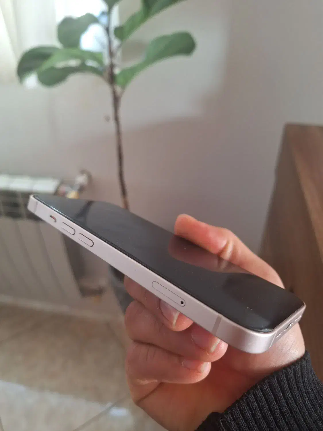 ایفون ۱۳ نرمال|موبایل|ساری, |دیوار