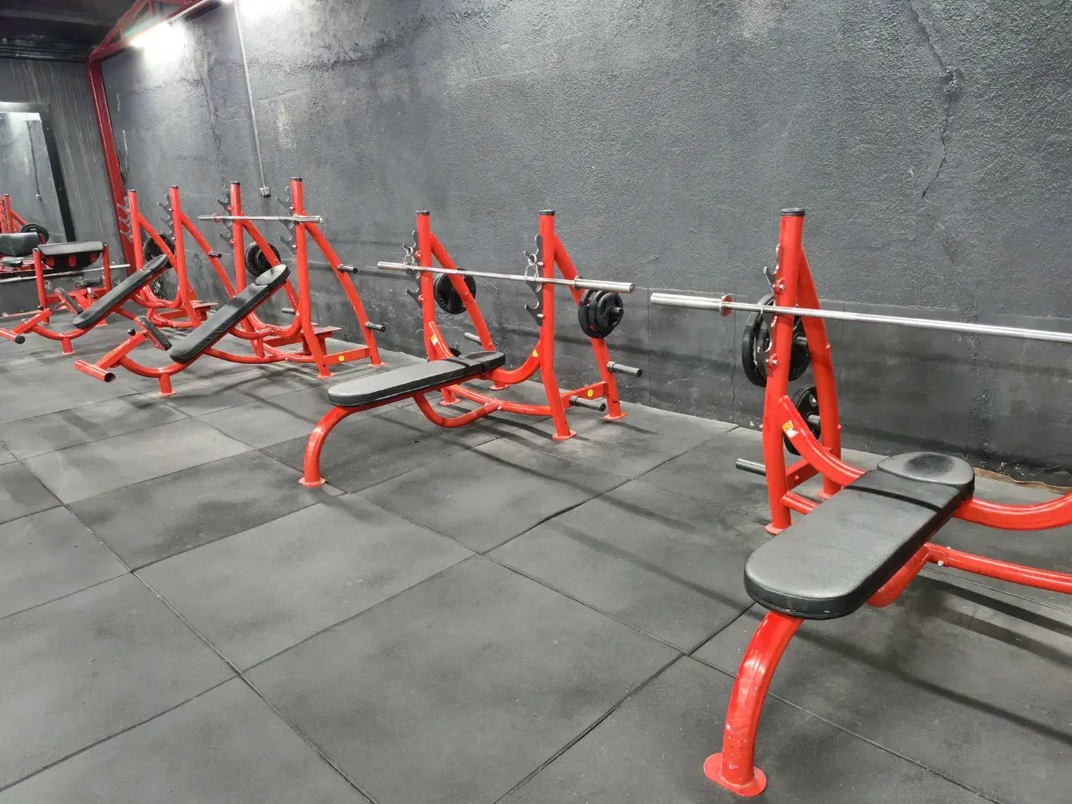 باشگاه بدنسازی|تجهیزات ورزشی|تایباد, |دیوار