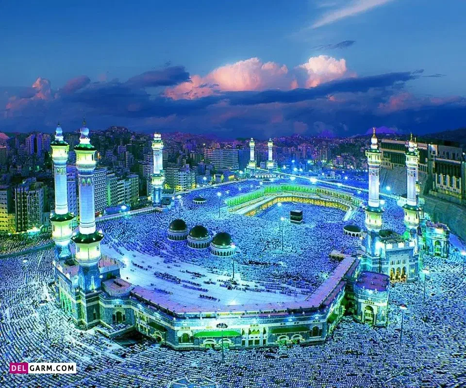 فیش مکه|تور و چارتر|بهنمیر, |دیوار