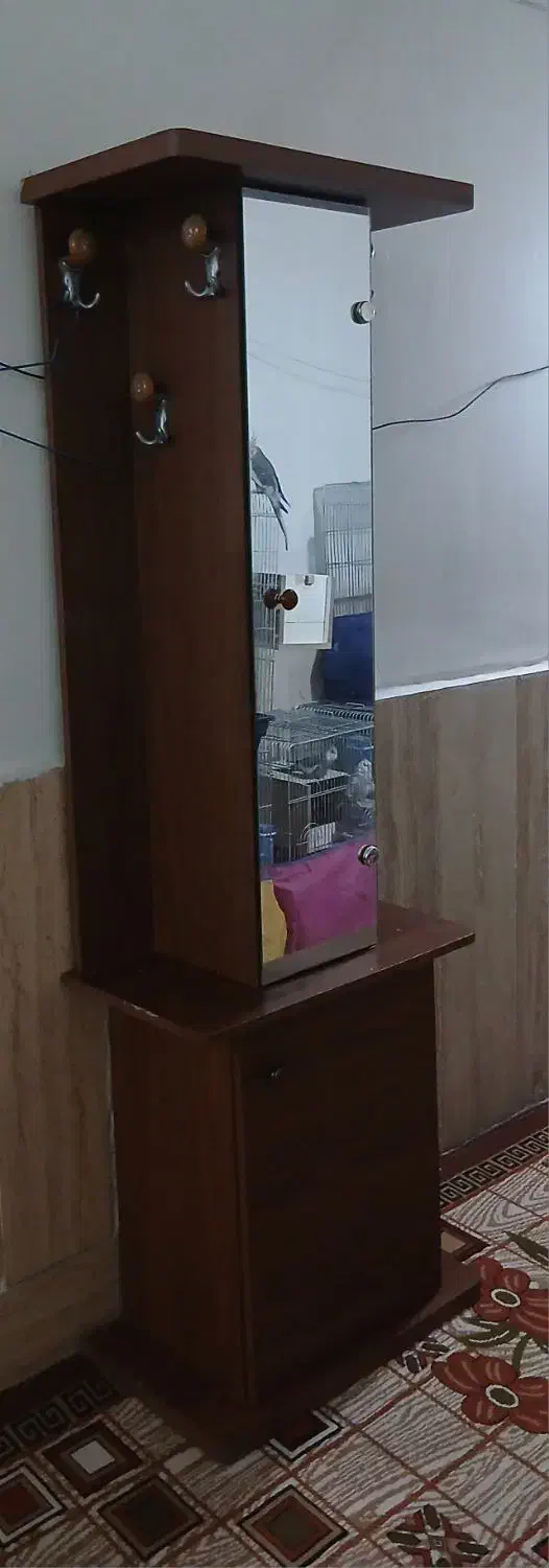 جاکفشی آینه دار و چوب لباسی|جاکفشی، کمد، دراور|قم, دورشهر|دیوار