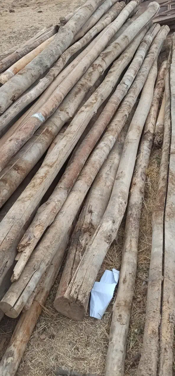 خریدار چوب|خدمات باغبانی و درختکاری|سنقر, |دیوار