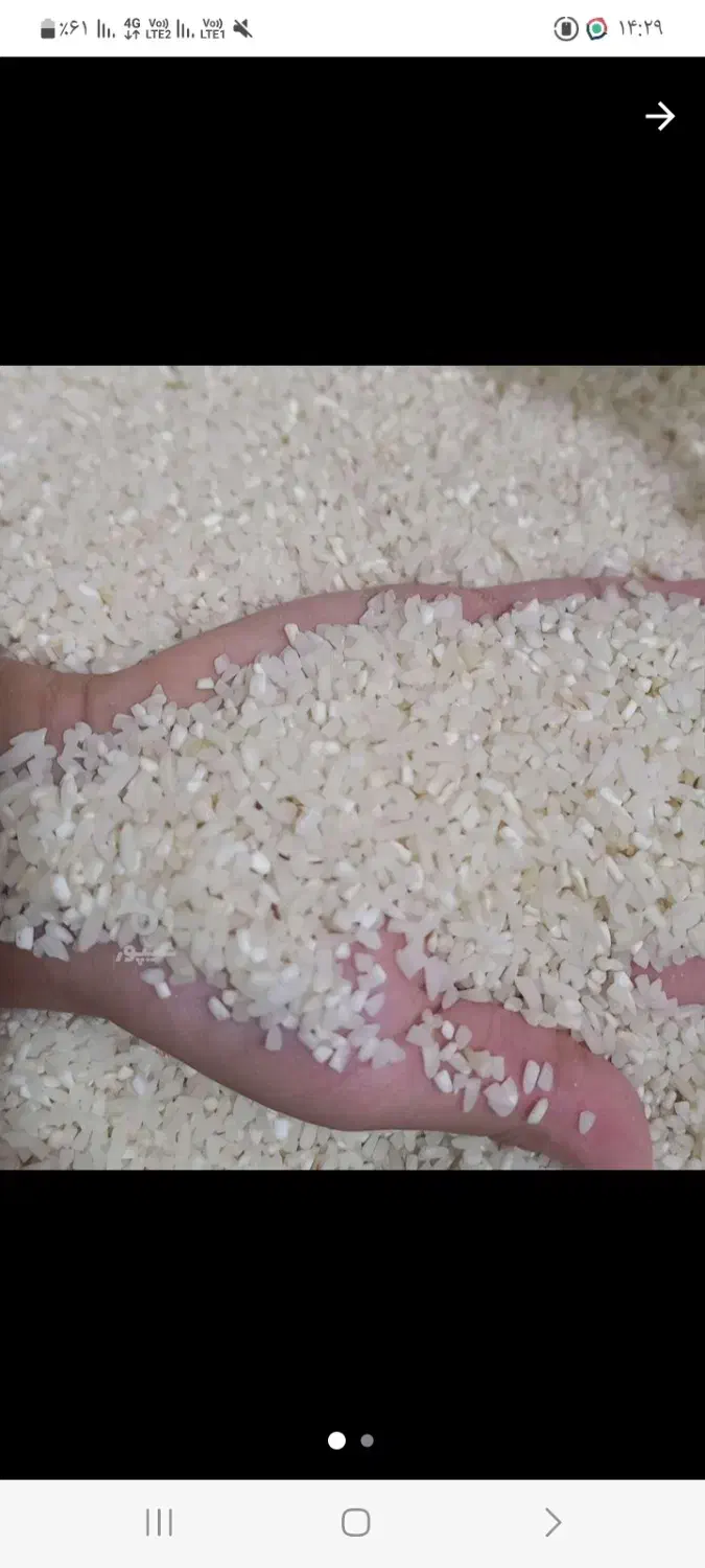 برنج نیم دانه طارم هاشمی کشت اول|خوردنی و آشامیدنی|آمل, |دیوار