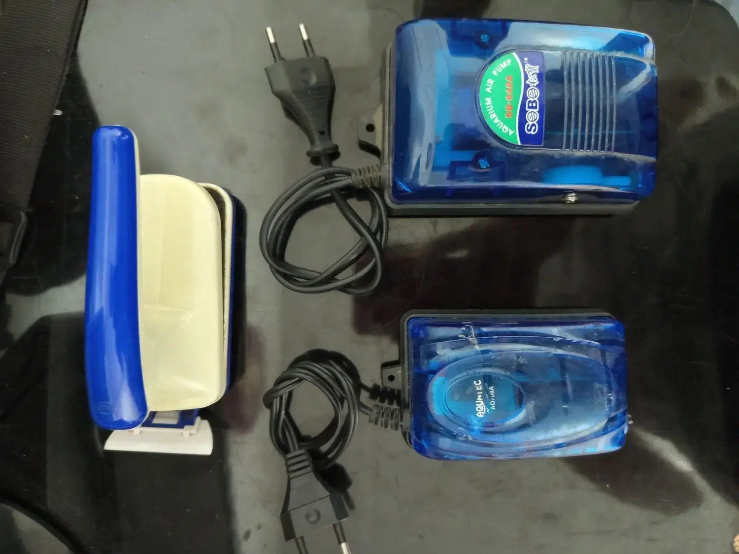 آکواریوم ماهیران|ماهی|کرج, شاهین‌ویلا|دیوار