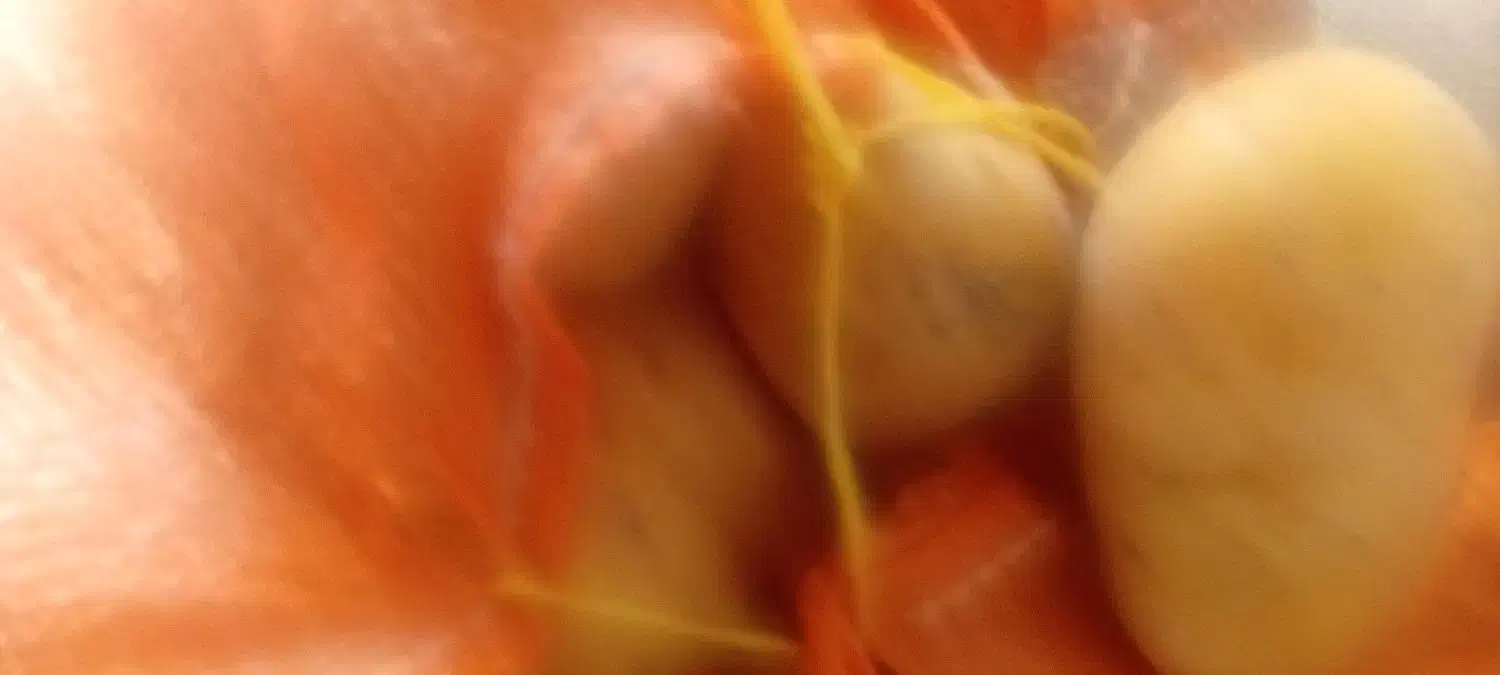 سیب زمینی|خوردنی و آشامیدنی|لردگان, |دیوار