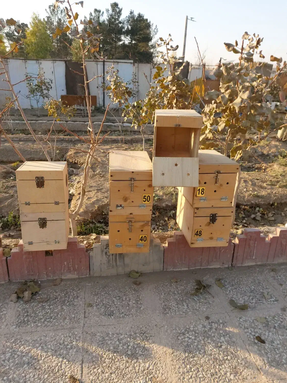 لانه مخصوص انواع طوطی|لوازم جانبی حیوانات|کهریزک, |دیوار