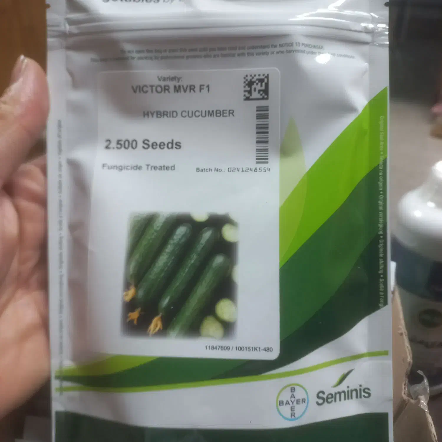 بذر خیار ویکتور|خدمات باغبانی و درختکاری|جویبار, |دیوار