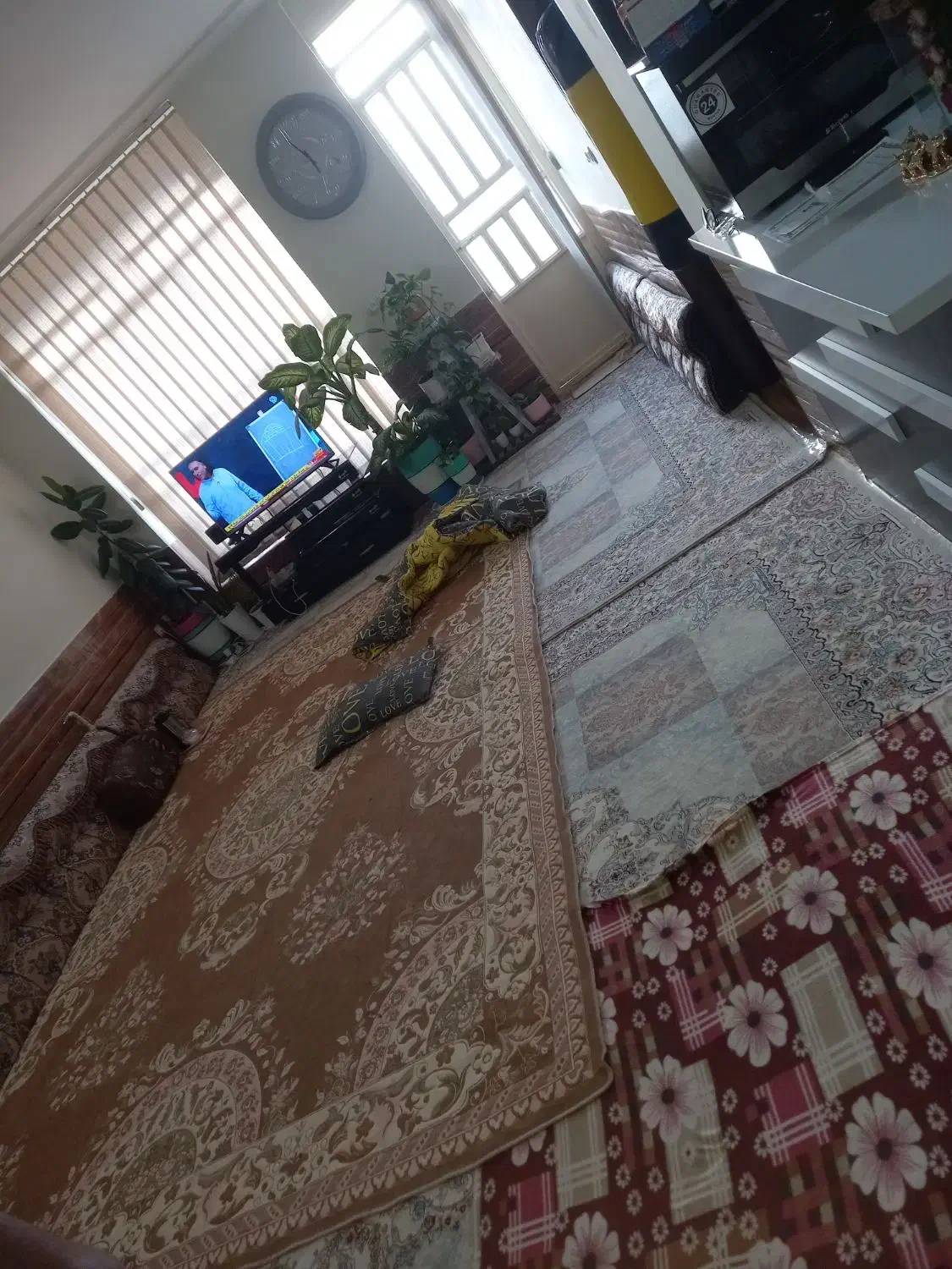 منزل اجاره ای کیان اباد|اجارهٔ آپارتمان|شیراز, کیان آباد|دیوار