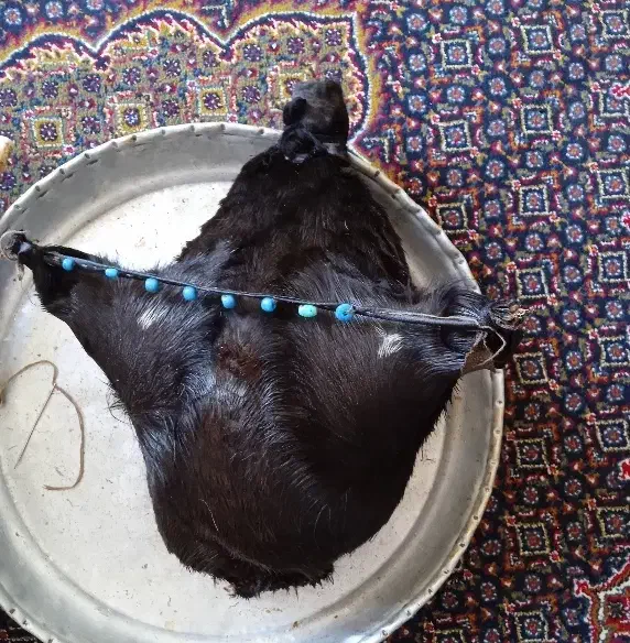 هیزه جا روغن|ظروف نگهدارنده، پلاستیکی، یکبارمصرف|رومشکان, |دیوار