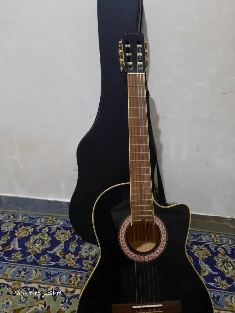 گیتار کلاسیک|گیتار، بیس، امپلیفایر|زاهدان, |دیوار